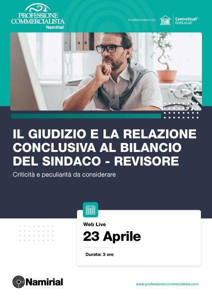 IL GIUDIZIO E LA RELAZIONE CONCLUSIVA AL BILANCIO DEL SINDACO - REVISORE