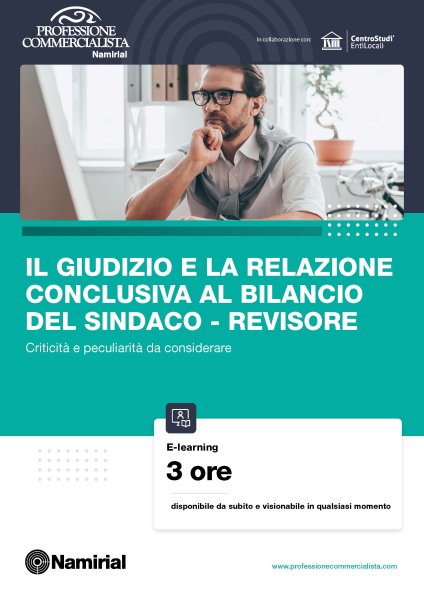 IL GIUDIZIO E LA RELAZIONE CONCLUSIVA AL BILANCIO DEL SINDACO - REVISORE